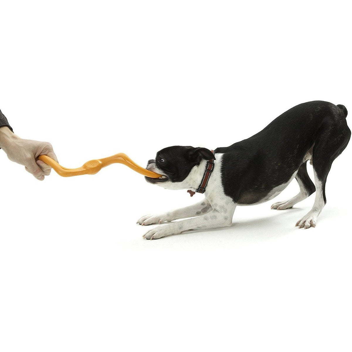 Bumi dog toy sale