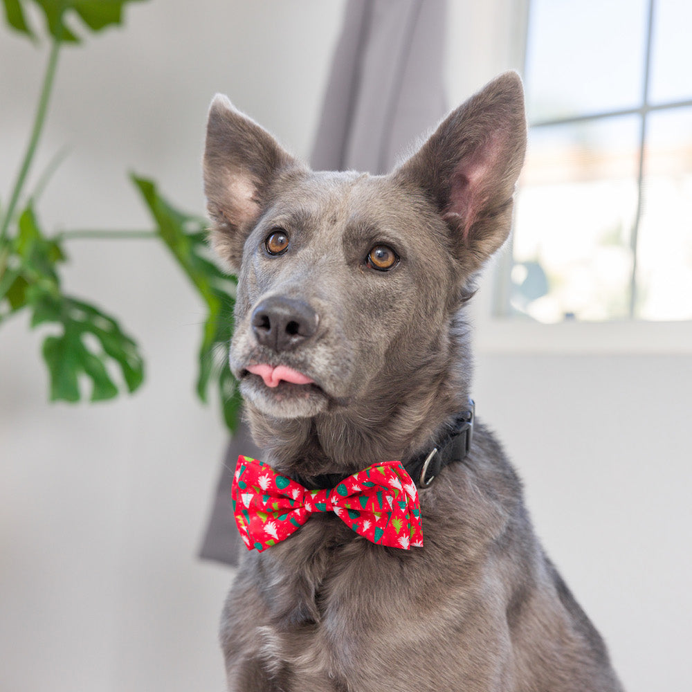 Huxley & Kent - Christmas Tree Bow Tie