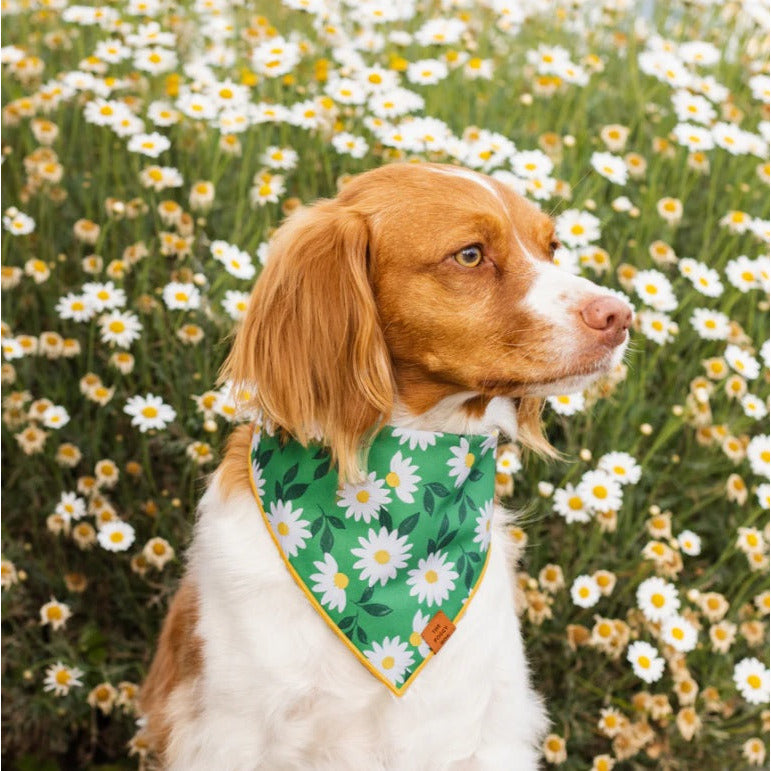 The Foggy Dog - Coming Up Daisies Bandana