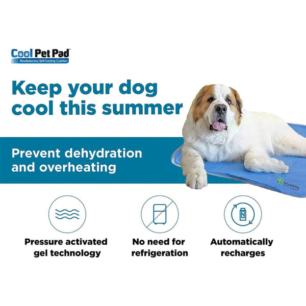 Fashion cooling gel pad for dogs