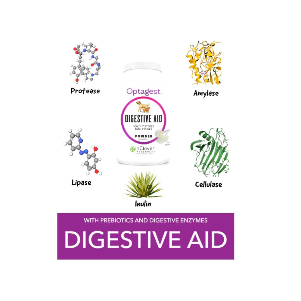 InClover - Optagest Digestive Aid