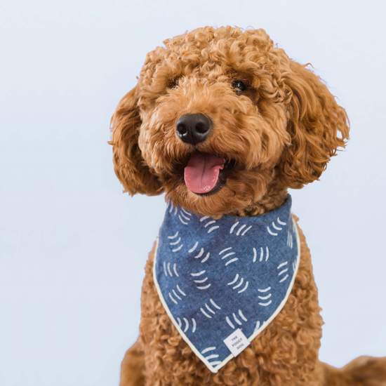 The Foggy Dog - Denim Waves Bandana