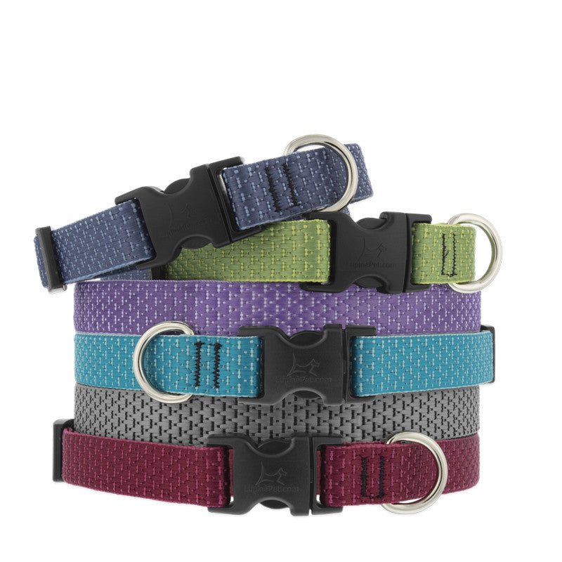 LupinePet Eco Collars - Tropical Sea