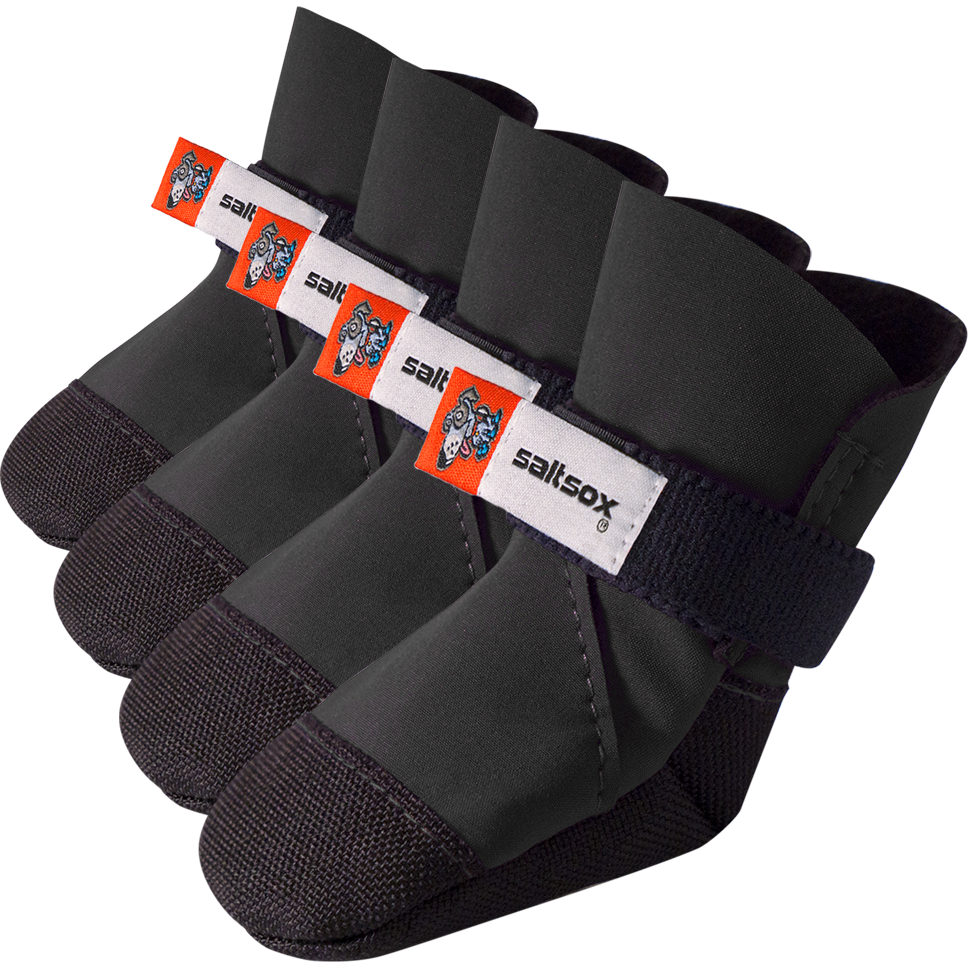 Saltsox on sale dog boots