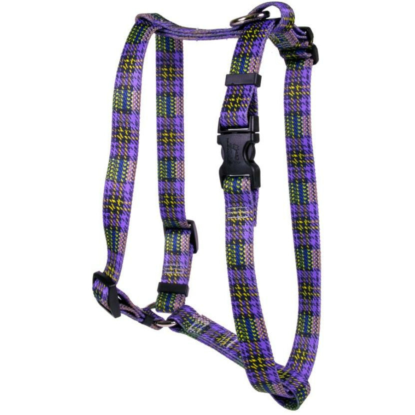 Yellow Dog Design - Roman Dog Harness, Highlander Purple &amp; Gold