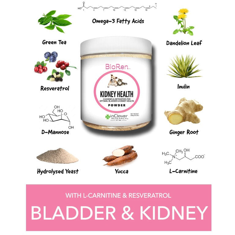 InClover - BioRen Pet Kidney Supplement