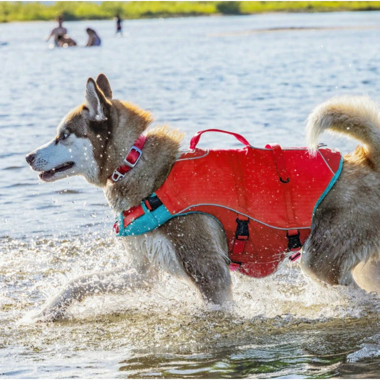 German shepherd life clearance vest