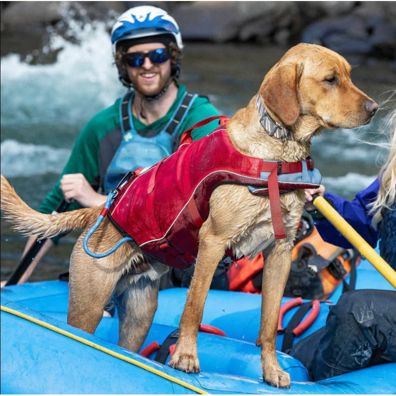 Kurgo - Surf-N-Turf Life Vest