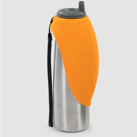 Messy Mutts - Insulated Stainless Steel Double Wall Water Bottle