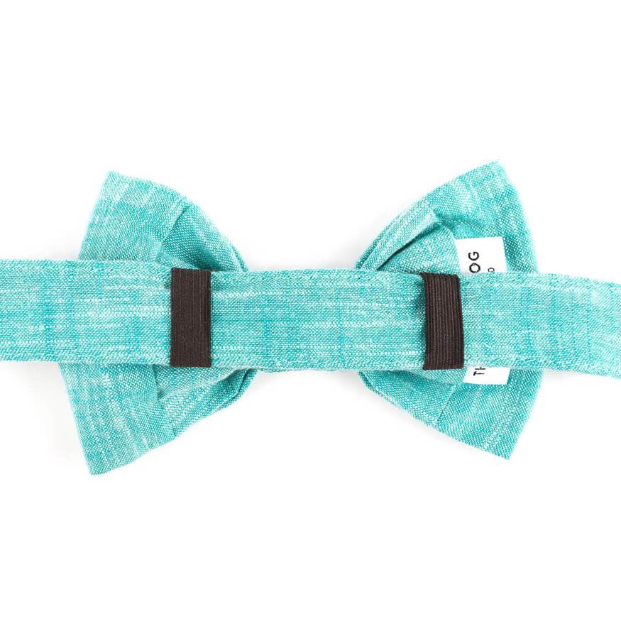 The Foggy Dog - Peacock Bow Tie & Collar Set