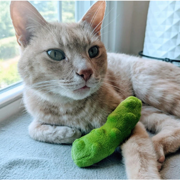 Catnip pickle clearance