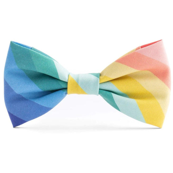 The Foggy Dog - Over the Rainbow Bow Tie