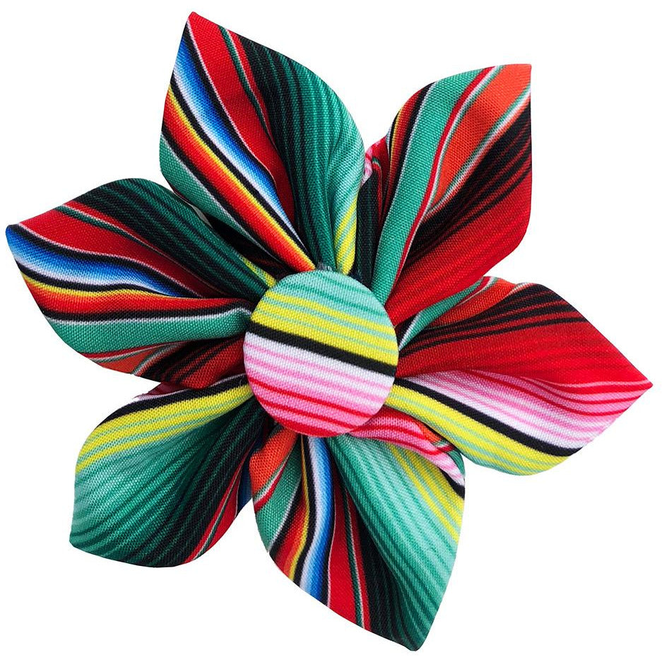 Huxley &amp; Kent - Serape Stripe Pinwheel