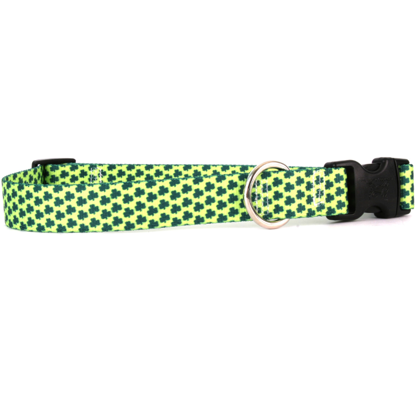 Yellow Dog Design - Petite Shamrock Cat Collar