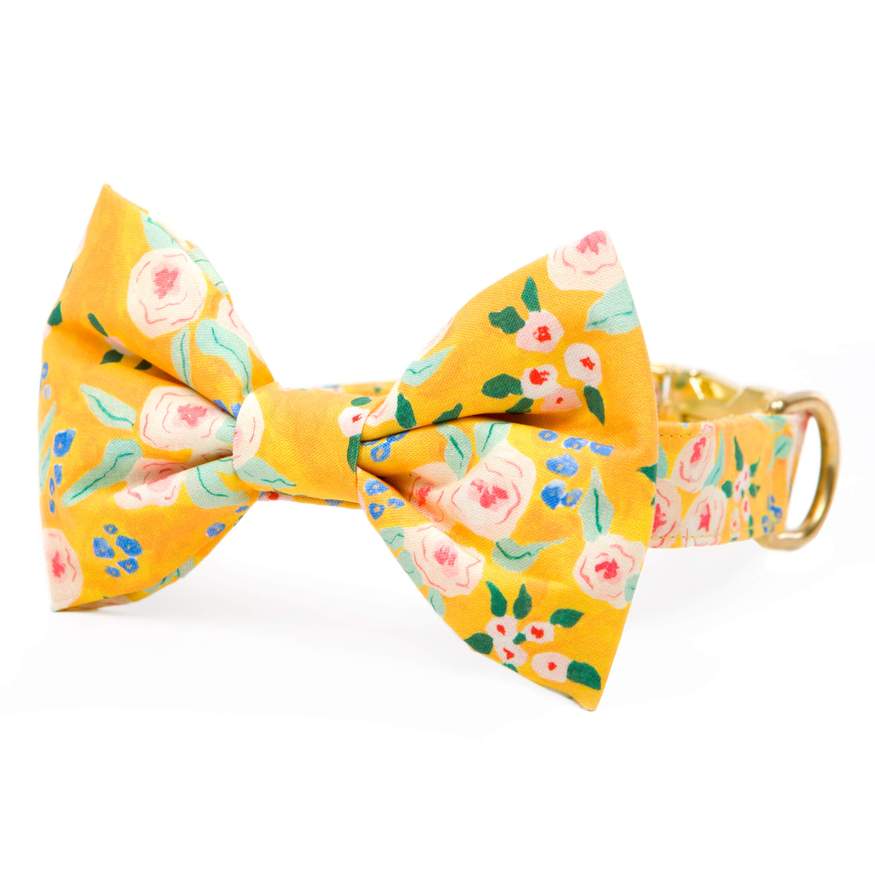 The Foggy Dog - Sunny Days Bow Tie &amp; Collar Set