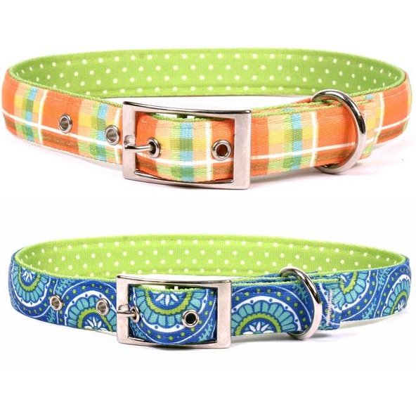 Yellow Dog Design Uptown Collar - Radiance Blue