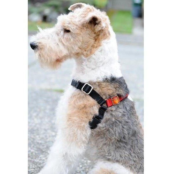 The dog walker top harness